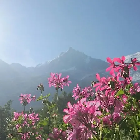 Chalet Des Splendeurs Apartment Chamonix